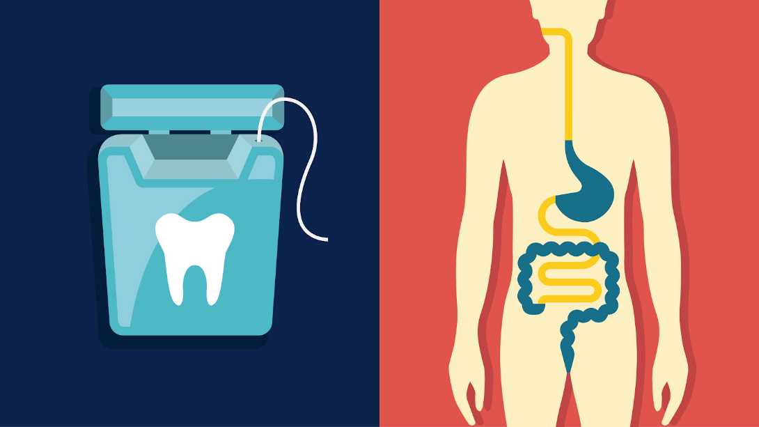 Mouth Gut Connection